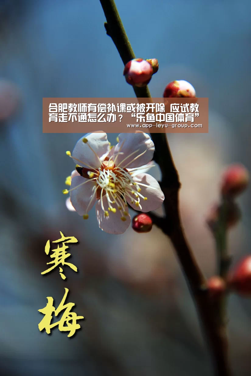 合肥教师有偿补课或被开除 应试教育走不通怎么办?“乐鱼中国体育”(图2) 乐鱼中国体育