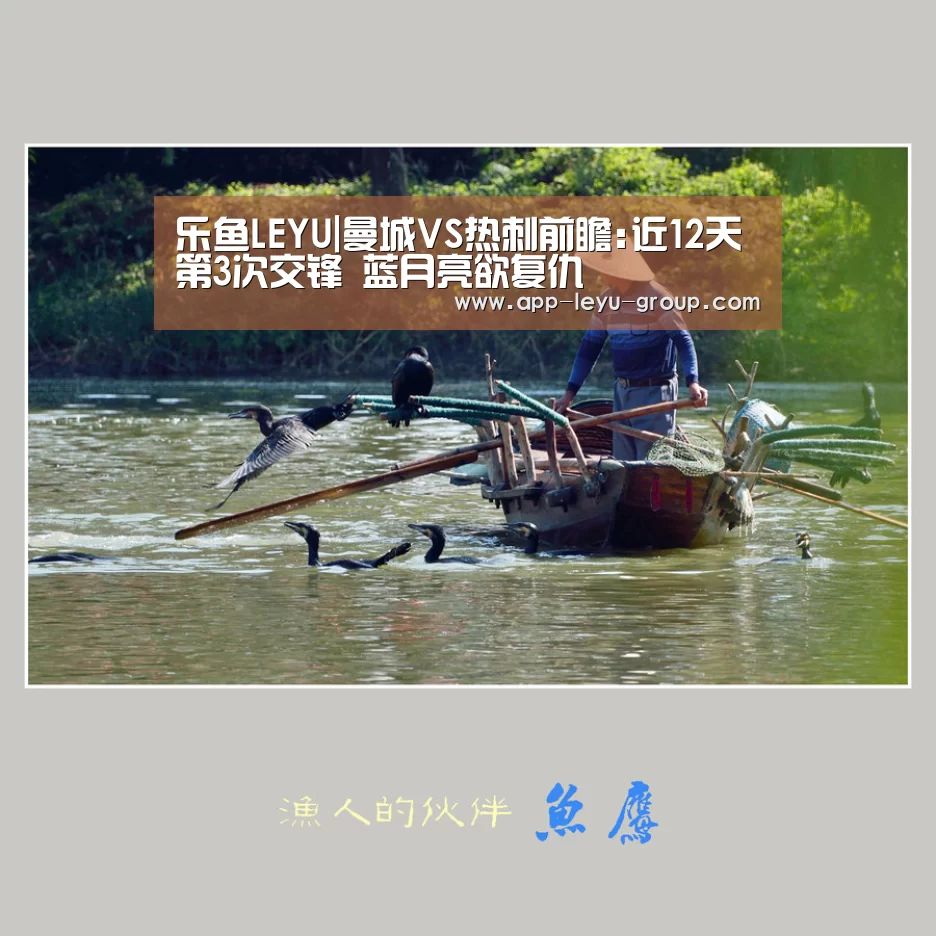 乐鱼网站