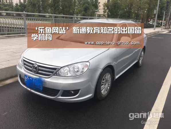 ‘乐鱼网站’新通教育知名的出国留学机构(图3) 乐鱼体育