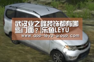 乐鱼网站