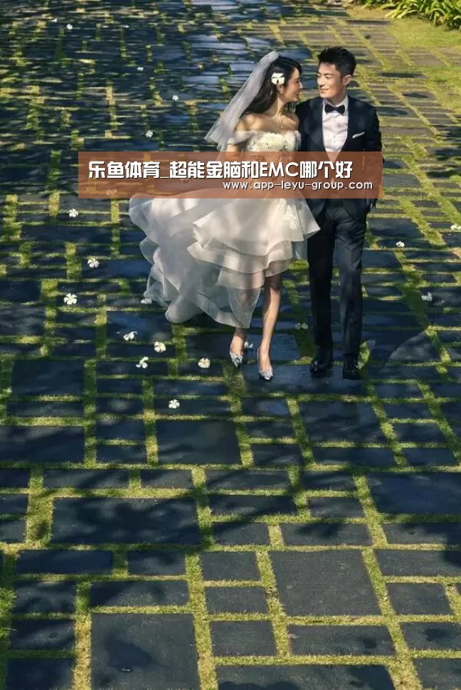 乐鱼体育_超能金脑和EMC哪个好(图1) 乐鱼网站