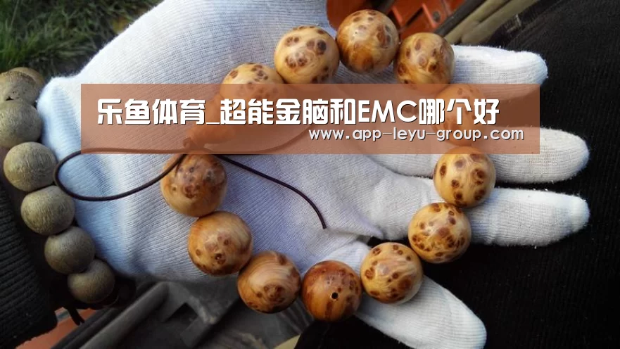 乐鱼体育_超能金脑和EMC哪个好(图3) 乐鱼网站