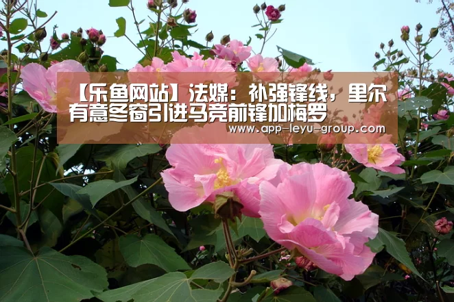 【乐鱼网站】法媒:补强锋线,里尔有意冬窗引进马竞前锋加梅罗(图1) 乐鱼LEYU